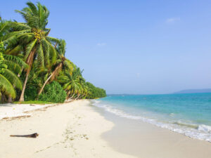 Read more about the article 3 Best Places to Visit in Andaman in 2023