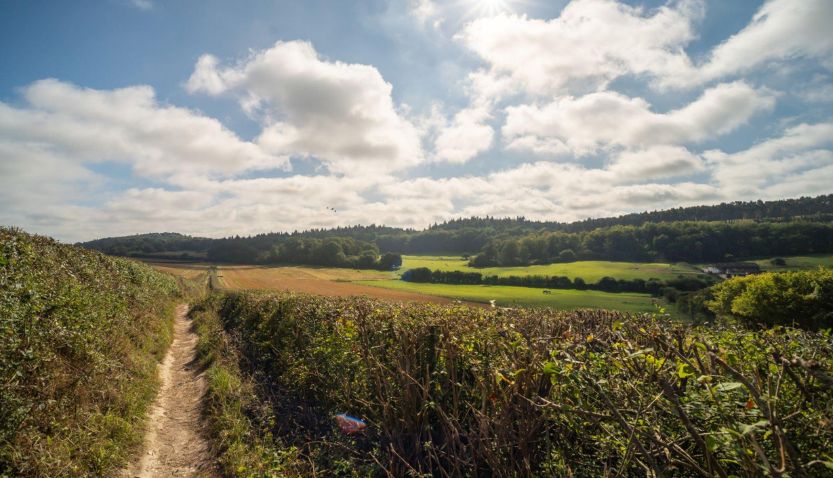 Read more about the article Surrey Hills: Nature’s Crown Jewel