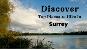 Read more about the article Top 5 Hiking Destinations in Surrey