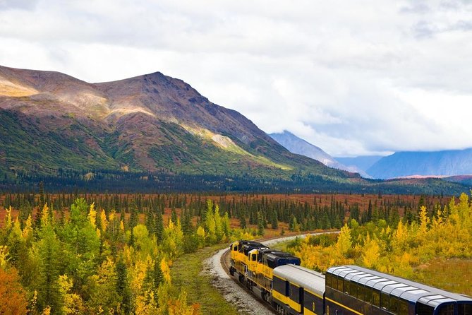 You are currently viewing 12 best Sleeper Train Trips USA