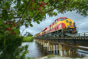 Read more about the article 15 Best Luxury Train Travel In USA East Coast