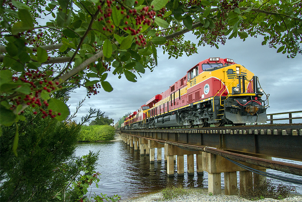 You are currently viewing 15 Best Luxury Train Travel In USA East Coast